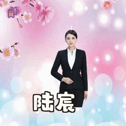 陆宸